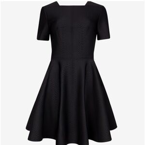 TED BAKER Snake Print Black Scuba A-Line Skater Dress Sz Small EUC